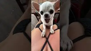 Кушать будешь? 😂