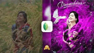 Snapseed Green And Bird Effect Photo Editing Tutorial | Snapseed Background Colour Change Tricks