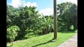 Large Lot For Sale In St George's Grenada (Touched Reality Real Estate Services)