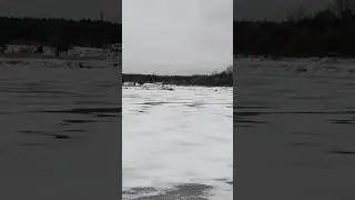 Гуси на льду!