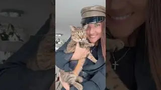 Happy Birthday Spike 😻 1 year old ❤️ meow #kitten #birthdaysong #cutecat