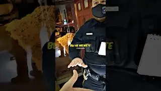 Копы вломились без разрешения👮‍♂️✋