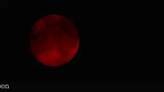 Dark and Scarlet Moon (For John McCain)