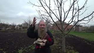 не Виктор Корнеплод 