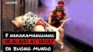 8 Nakakamanghang Nilalang at Bagay sa Buong Mundo