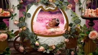 Alonie's  Newborn  Session