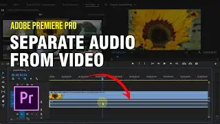 How To Separate Audio From Video - Adobe Premiere Pro
