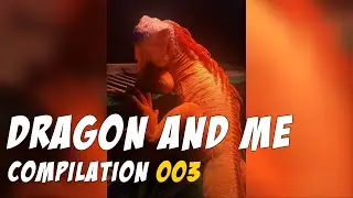 Dragon and Me - Compilation 003