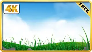 Green field and grass moving on blue sky background video loops