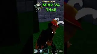 Mink/Rabbit Race V4 Trial - Blox Fruits