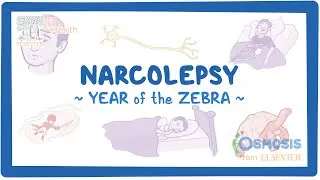 Narcolepsy - NORD (Year of the Zebra)