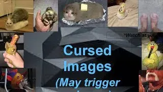 Dont click this video, it is cursed. Just warning you.