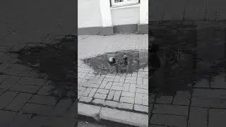 #тиктокеры