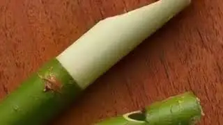 Bir zamanlar yaşayıp gördüklerimiz