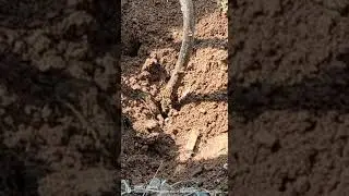 cable fault finding work.