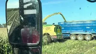 Smalmstown Farm 🌽Maize gtritchie5
