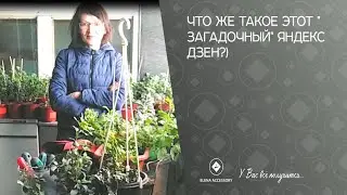 Что же такое этот " загадочный" яндекс Дзен?)