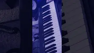 Best Sample Packs 👌 