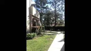 Rancho Santa margarita condo