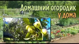 ОГОРОДИК ЭКСКУРСИЯ