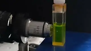 Fluorescence de fluoresceine par absorption de deux photons.