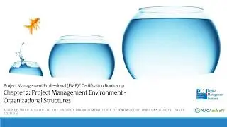 Chapter 2 Project Management Environment, Organizational Structures