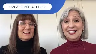 Can Your Pets Get Lice? | LiceDoctors