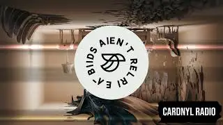 Harry Styles - As it Was (Pirapus bootleg)