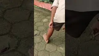 Bocah SD coba Menangkap Anak Ular