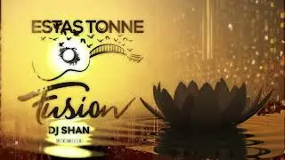 Estas Tonne - Fusion (DJ Shan Remix)