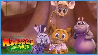 Babysitting Naughty Hedgehogs! 🦔 | DreamWorks Madagascar