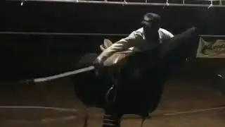 SIMULADOR CAVALO DE VAQUEJADA