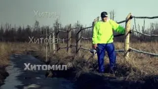 Хитомил — адаптоген для пчёл нового поколения