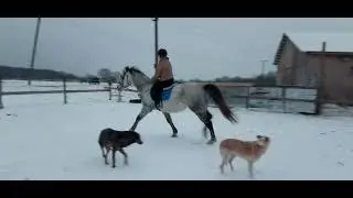 Подготовка к    прыжкам