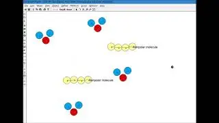 #79d--Water Molecules with Non polar Molecules