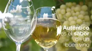 Desmer distribuye Luxe by Alvic