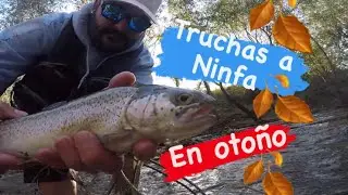 🔵 Nymph fishing #7 (in currents and pools) 