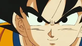 Surviving Super: is Goku still Goku?