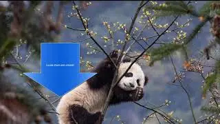 How to Fix Zoom Error Code 1132