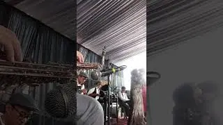 dawai wedding cover