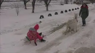 Алена катается на козе.