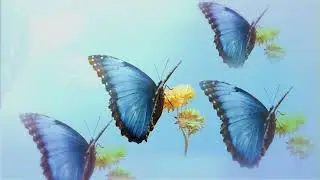 christina perri - mothers [official audio]