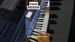TECLADO CASIO MZX500 RITMO SANJUANERO 2022