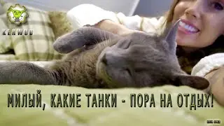 Август- все, встретимся в сентябре!🤴