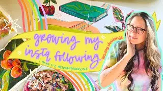 Growing My Art Instagram Following | with a 365 day art challenge… and I think it’s working…