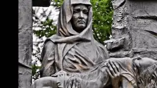 Цветы о камни