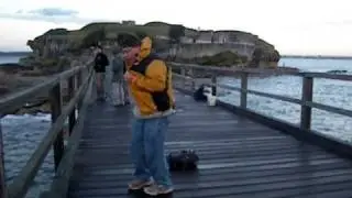 IMGP4779