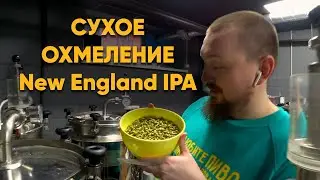 Охмеляем New England IPA | Охмеляем Нью Ингланд IPA | Стратегия 21