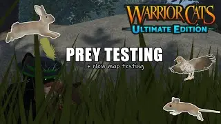◈ Warrior Cats: Ultimate Edition || PREY TESTING + New Map testing