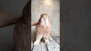 передаем релакс через экран телефона ❤️ 